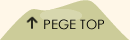 PAGETOP