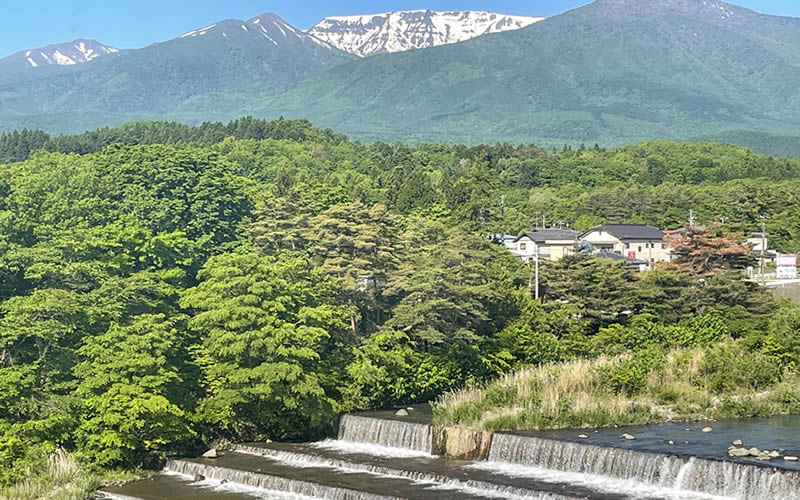 楽居庵・上のお部屋